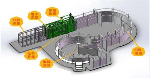 基于物聯(lián)網(wǎng)的畜禽智能養(yǎng)殖監(jiān)控系統(tǒng)與智能水務(wù)系統(tǒng)開(kāi)發(fā)